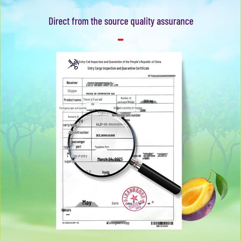 Liuliumei Seedless Dried Prunes