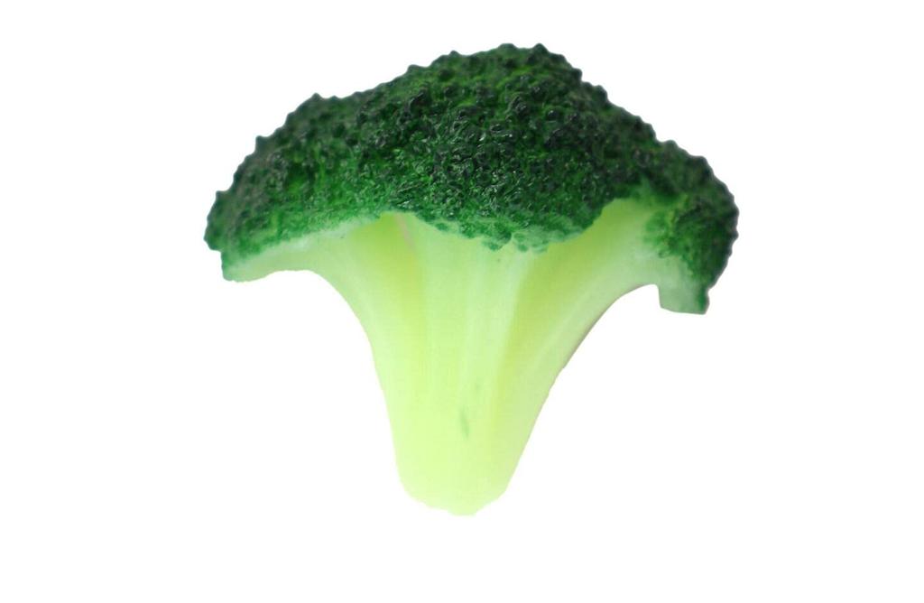 Speed mao Realistic Broccoli Food Sample Set of 6 Models,