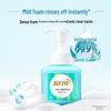 Blue Moon Foam Antibacterial Hand Soap