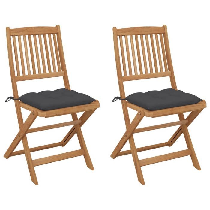 VidaXL Set of 2 Folding Garden Chairs with Cushions, Patio Seats, Dining Chairs, Patio Furniture 3064659