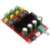 DC12-24V High Power 2*100W  Channel Digital Amplifier Audio Board Stereo Amp