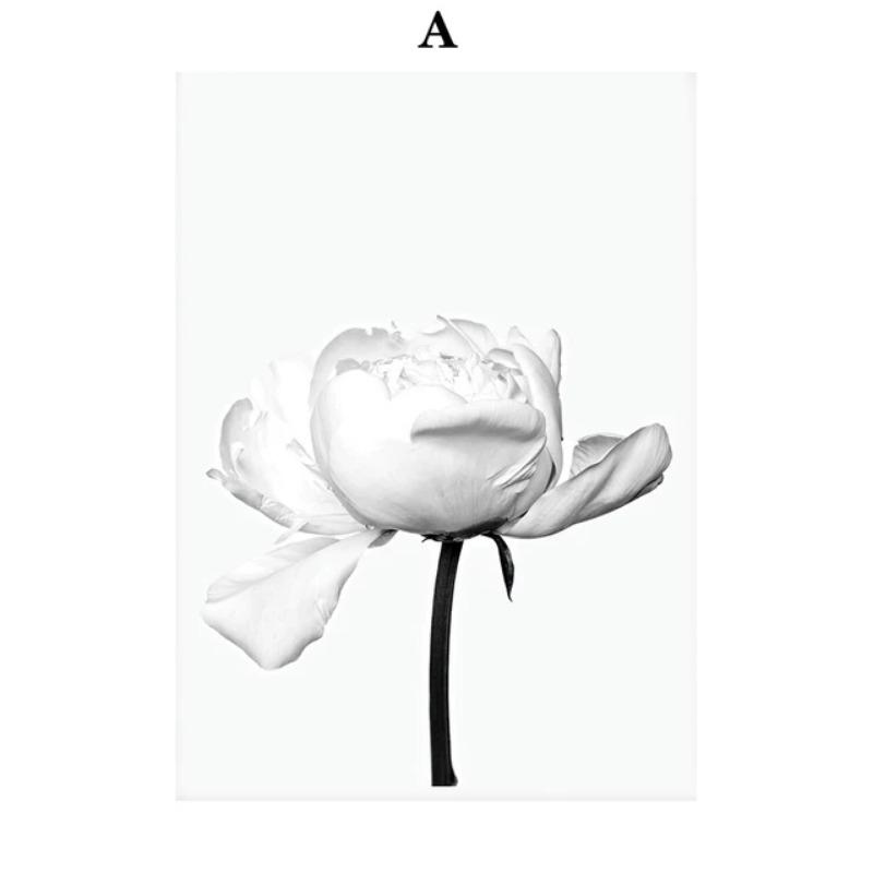 Elegant Retro Fashion Wall Art Canvas  Beauty Dancing Legs Red Wine Black  White Nordic Poster for Room Decor