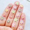 50Pcs Cute Mini Colorful Flowers Nail Art Resin Designer Charms DIY Craft For Nail 3D Decorations Jewelry
