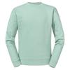 Russell Unisex Adult Authentic Combed Ringspun Cotton Regular Sweatshirt