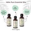 Bonheur - Huile essentielle d'orange douce, de lavande et d'ylang-ylang de qualité thérapeutique