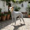 Elastic Pet Turtleneck Clothes Warm Dog Four Legged Clothes Pet Sweater Pet Pajamas  Outdoor