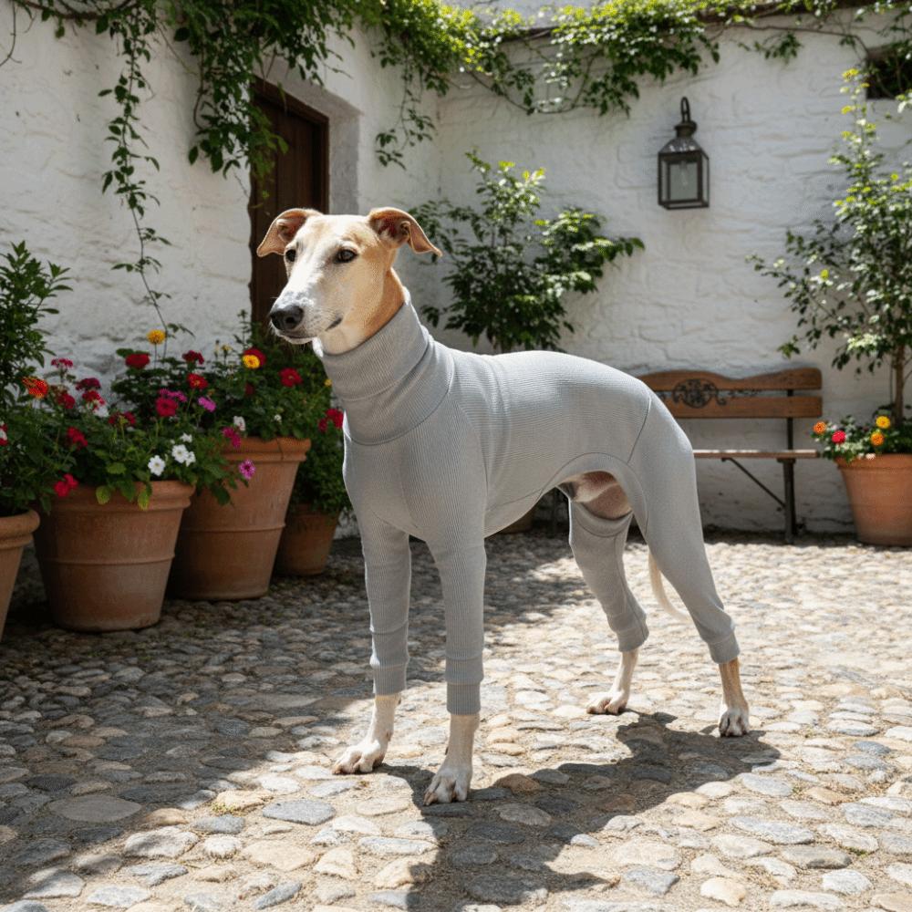 Elastic Pet Turtleneck Clothes Warm Dog Four Legged Clothes Pet Sweater Pet Pajamas  Outdoor