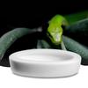 Reptile Water Food Bowl Terrarium Bowls Worm Dish Ceramic Pet Bowls Anti-Escape Feeding Dish, Birds Bowl