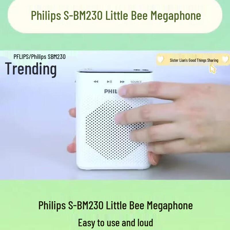 Philips SBM230 Portable Amplifier (CN version)