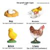 Cross-border Simulation Animal Suction Toy: Butterfly, Rooster, Ant, Frog, Sea Turtle, Mosquito Growth Cycle Models