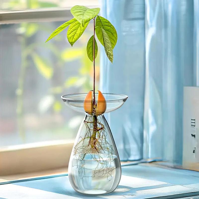 Colorful Transparent Avocado Hydroponic Vase Glass Avocado Seed Starter Vase Plant Seed Growing Kit Gardening Lovers Home Decor