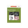 Breast Imaging: Expert Radiology Series Imaging of the Breast, by Drs. Lawrence Bassett,