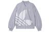 Adidas Originals FW24 Jackets Coats Unisex Glory Gray JX7066