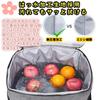 10L Large Capacity Cooler Keeps Food Cold for 12 Keeps Food Warm for Lunch Insulated Lunch Foldable and Easy to Perfect for and Unisex Box, Hours, 4-6