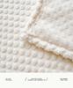 Four Seasons Flannel Jacquard Dotted Velvet Sofa Blanket