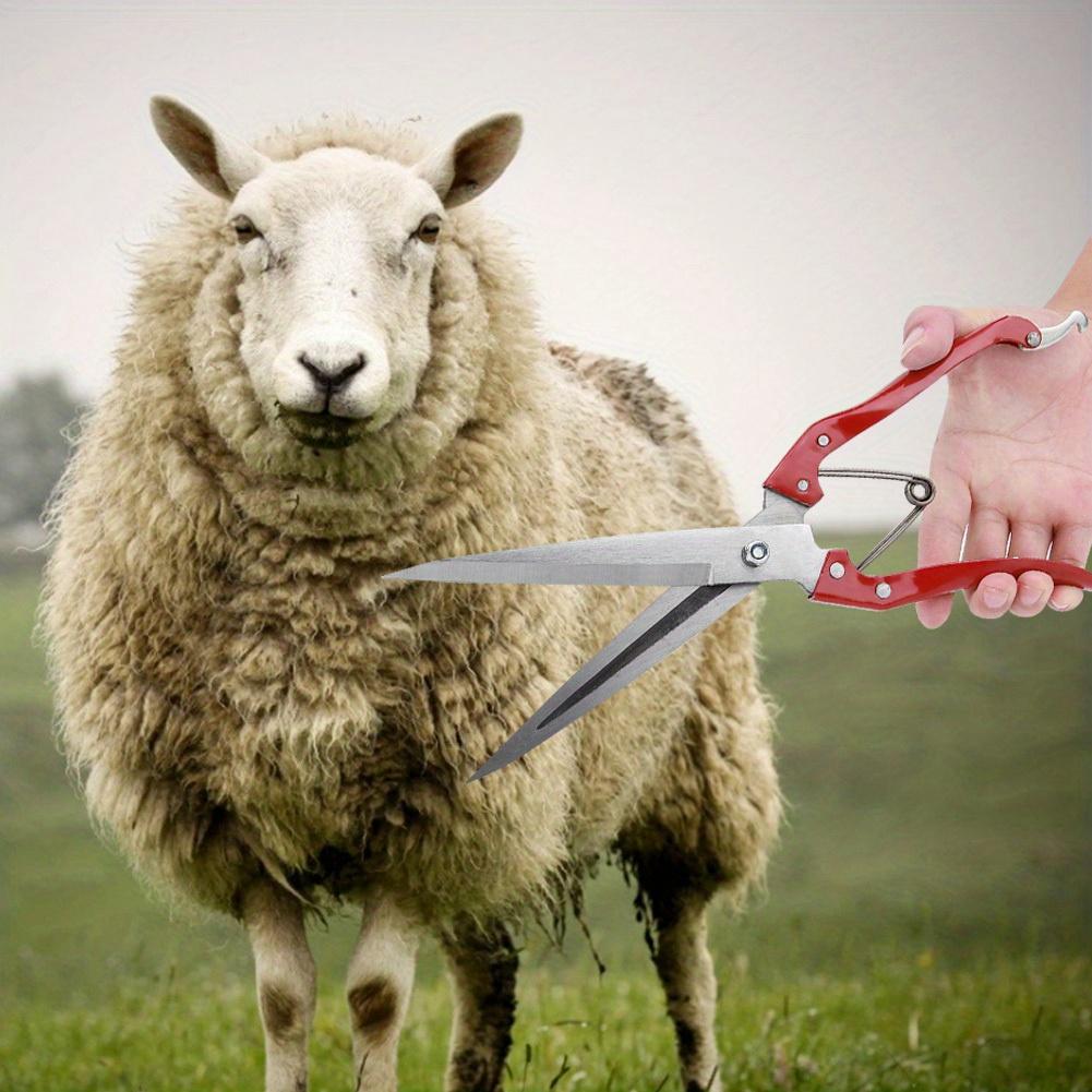 1pc Multifunctional Manual Steel Sheep Wool Shear Trimming Scissor with Spring, Durable Metal Handheld Clippers for Farm Animal Grooming