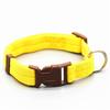 Multi-color Nylon Dog Collar: Anti-choke Options for Large and Small Dogs