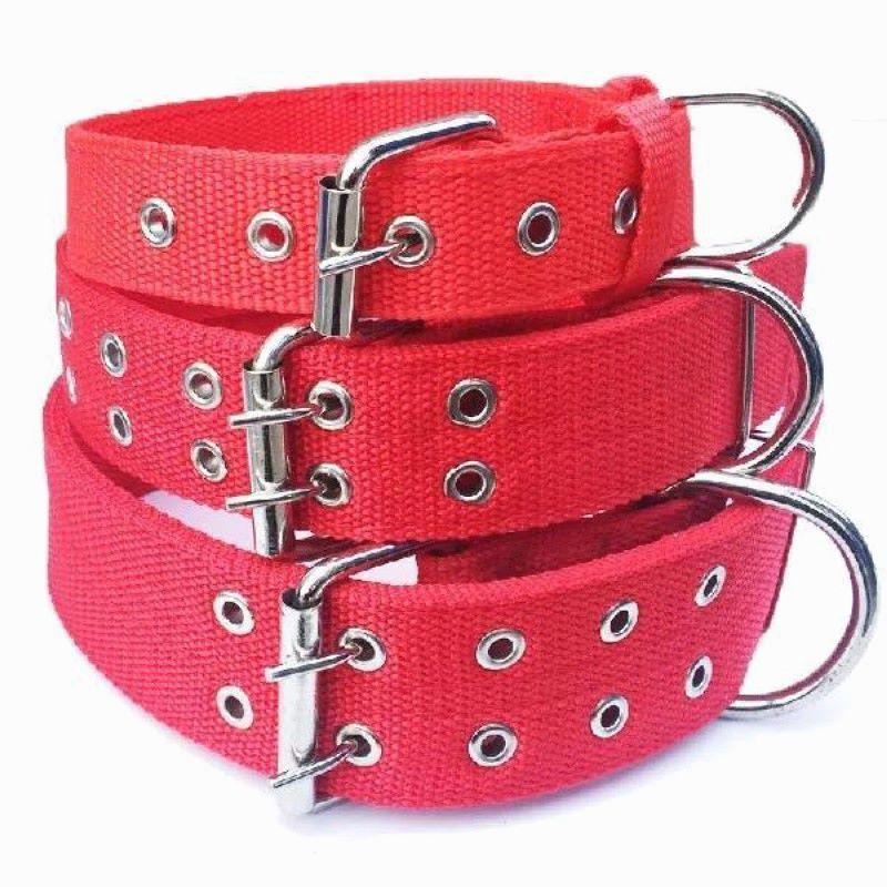 

Dog Leash Large and Medium-Sized Dog Leash Golden Retriever DEMU Dog Chain Collar Pet Supplies Leash Hot Qiao Large (recommended 65-60.00kg) Single collar: Red