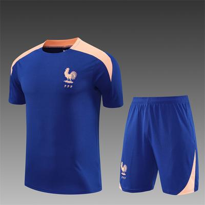 2026-2027 Frankrijk Koninklijk Blauw Shirt
