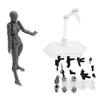 Man Luxe Shfiguarts Body Kun Chan Dx Set Drawing Figures Moveable Artists For