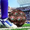 Soccer Club Emblem Design Printed Size 5 Soccer Ball - Durable, Machine-stitched, Soft and Comfortable, Suitable for Training and Matches Gift