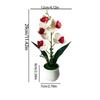 5 Heads Artificial Orchid Potted Flower Pink with White Pot Simulated Flower Butterfly Orchid Potted Plastic Multi-Bloom