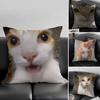 1pc CAT MEME 029 Pillow Case Square Bedroom Sofa Leisure Comfort Cushion Car Living Room Home Decoration