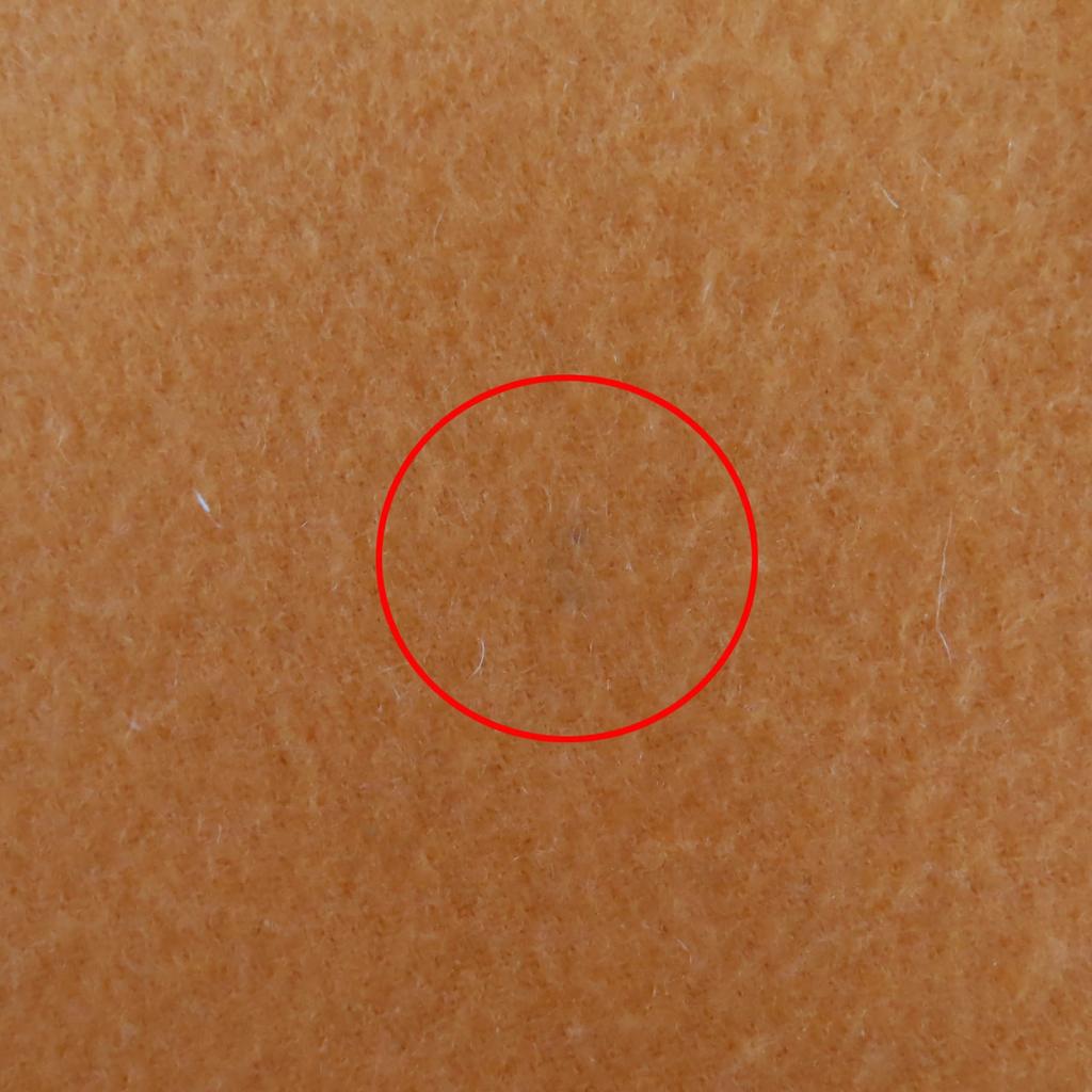 Very Good HERMES Scarf Large shawl/stole with embroidered logo Orange cashmere Used