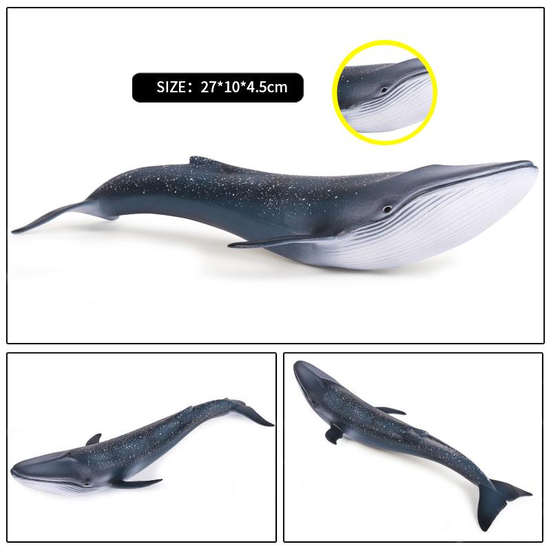 Oenux Ocean Animal Savage Megalodon Beluga Big Shark Orca Sperm Blue Whale Action Figures Sea Life Model Educational Kids Toy