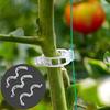 100/200/300/400/500Pcs Garden Plant Support Clips Grape Tomato Ties Vegetable Vine Stem Fixing Clip Cucumber Flower Squash Vine
