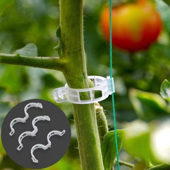 100/200/300/400/500Pcs Garden Plant Support Clips Grape Tomato Ties Vegetable Vine Stem Fixing Clip Cucumber Flower Squash Vine