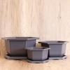 Ying Tang Plastic Imitation Zisha Orchid Pot
