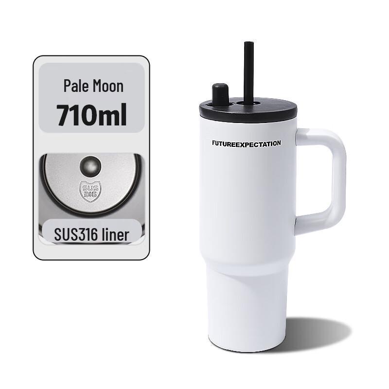 Chic Insulated Tumbler with Handle and Straw