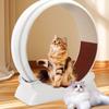 Cat Exercise Wheel Silent Eco-Friendly Pet Treadmill with Wide Track Anti-Pinch Dog & Cat Fitness Equipment Large Activity Wheel