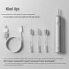 Laifen LFTB01-A Sonic Electric Toothbrush Dual Pack, Silver CN plug (adapter included)