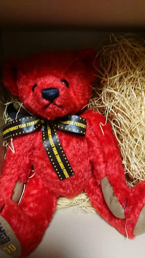 [USED] EXILE Teddy Bear Limited Edition 2008