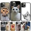 Lovely Pet Cute Animal Cat Phone Case For iPhone 17 Air 14 15 16 13 12 Cover For Apple Pro Max 6S Plus Coque