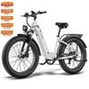 Bicicleta Elétrica Fafrees F26 Rover Motor 250W Pneu Gordo 26" Bicicleta Elétrica para Adultos Todo o Terreno 48V 20Ah Freio a Disco Hidráulico 7 Velocidades Carga Máxima 150Kg