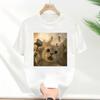 White TShirt Helmet Wearing Tabby Cat Print Background With Fighter Jets Missile Explosion Battle Scene Funny Creative Top