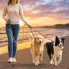 Stretchable Double Head Dog Rope Nylon Elastic Traction Rope Double Headed Leash  Small Dogs