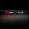 For Peugeot Car Decorative Light LED Front Hood Grille Emblem Badge Decor For Peugeot 206 307 308 3008 207 208 407 508 2008 5008