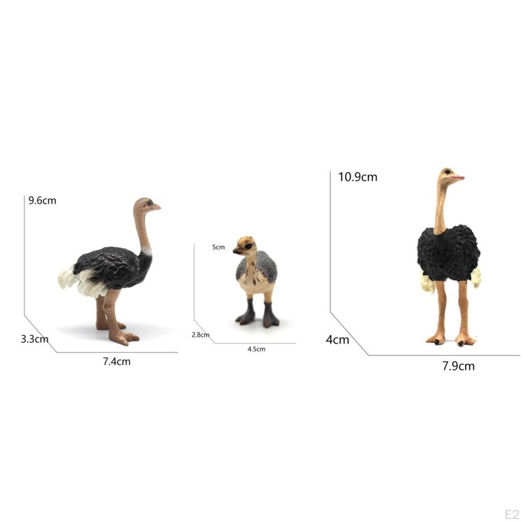 3Pcs Animal Bird Model Figures,Collectible Wildlife Birds,Realistic Set Educational Learning