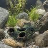 Decaying Trunk Aquarium Hide Decorative Betta Fish Hideout with Multiple Holes