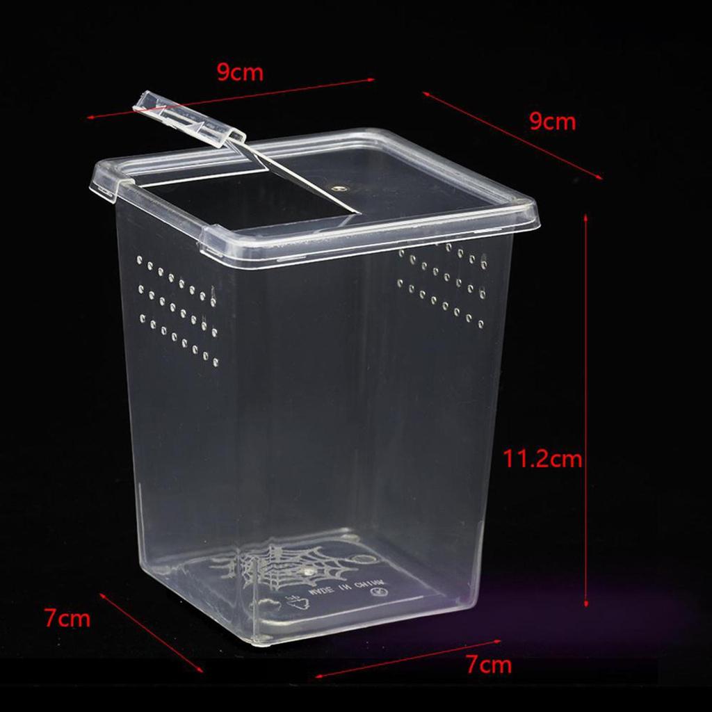 Feeding And Breeding Box for Reptiles with Lid Ventilation Holes, Mini, Transparent, Horned