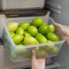Vegetable and Fruit Storage Bins with Strainers Space Saving Freshness Preserving Boxes Large Organizer Box with Lid
