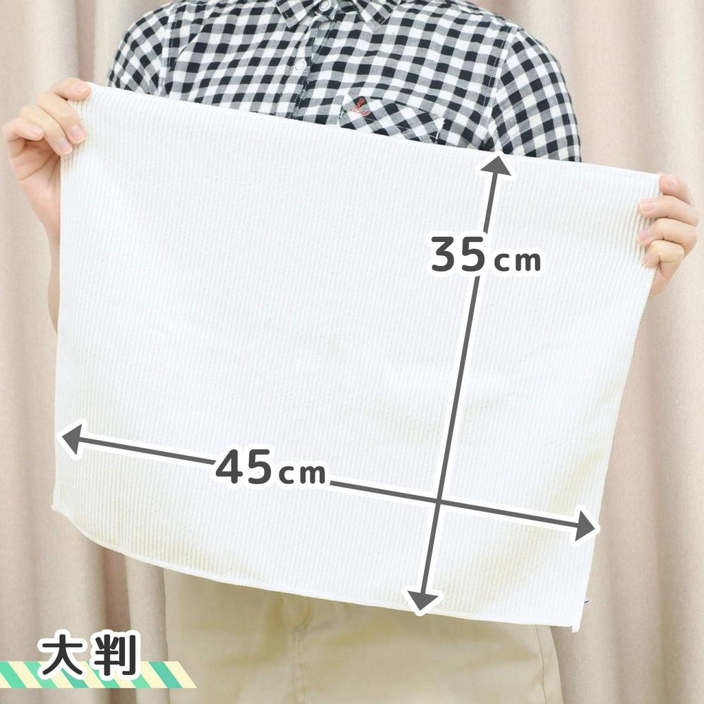 LEC Gekiochikun Highly Absorbent Microfiber Large 45 X 35 1 K00202 Cloth, (Antibacterial), Cm, Dish,