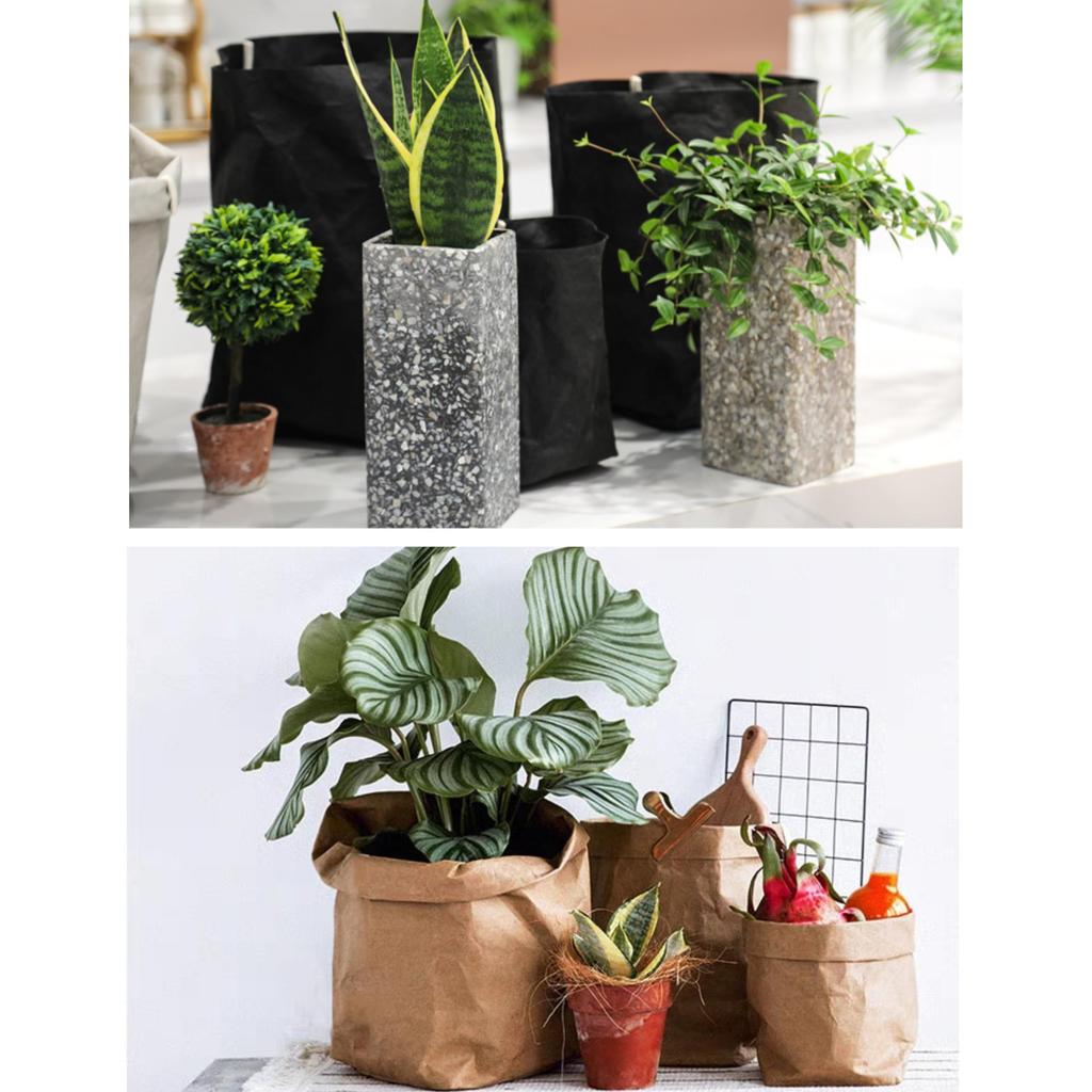 Ghiveci de flori Kraft lavabil Plantator pentru legume și fructe Pentru bucătărie până la 7 Acoperire, Hârtie, Plantă de apartament, Acoperire, Elegant, Scandinav, Interior, Simplu,