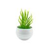 Simulation Potted Plant Artificial Perfect Plastic Display Mold Bonsai for Home Decor