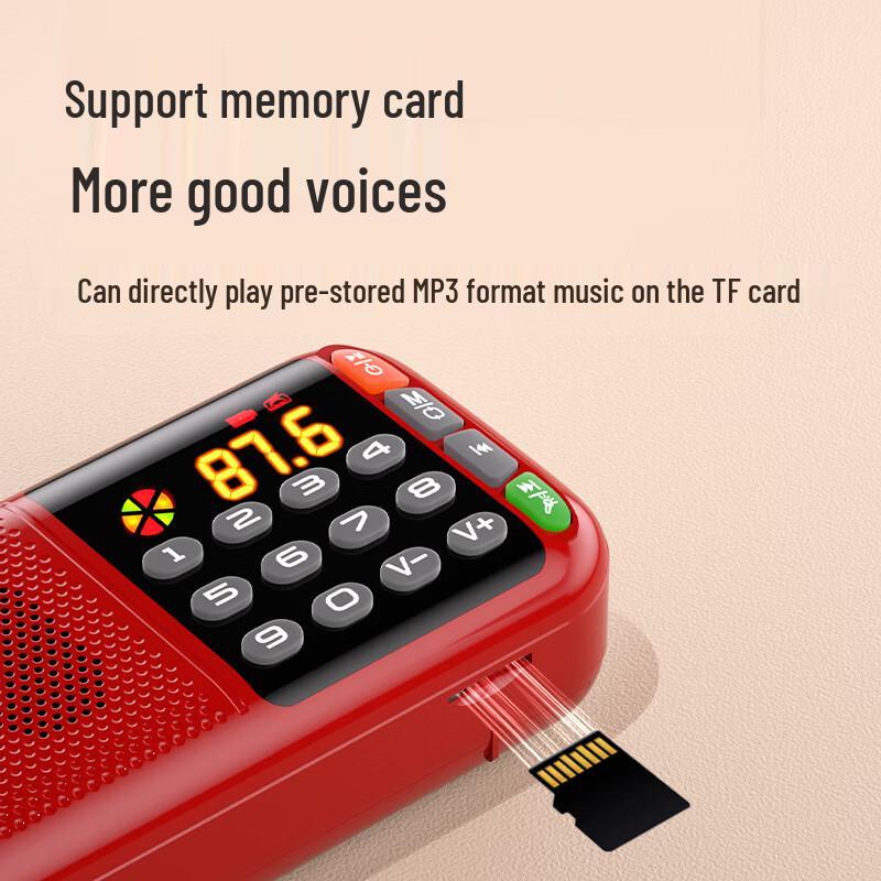 SAST Portable Multi-Function Radio & Media Player