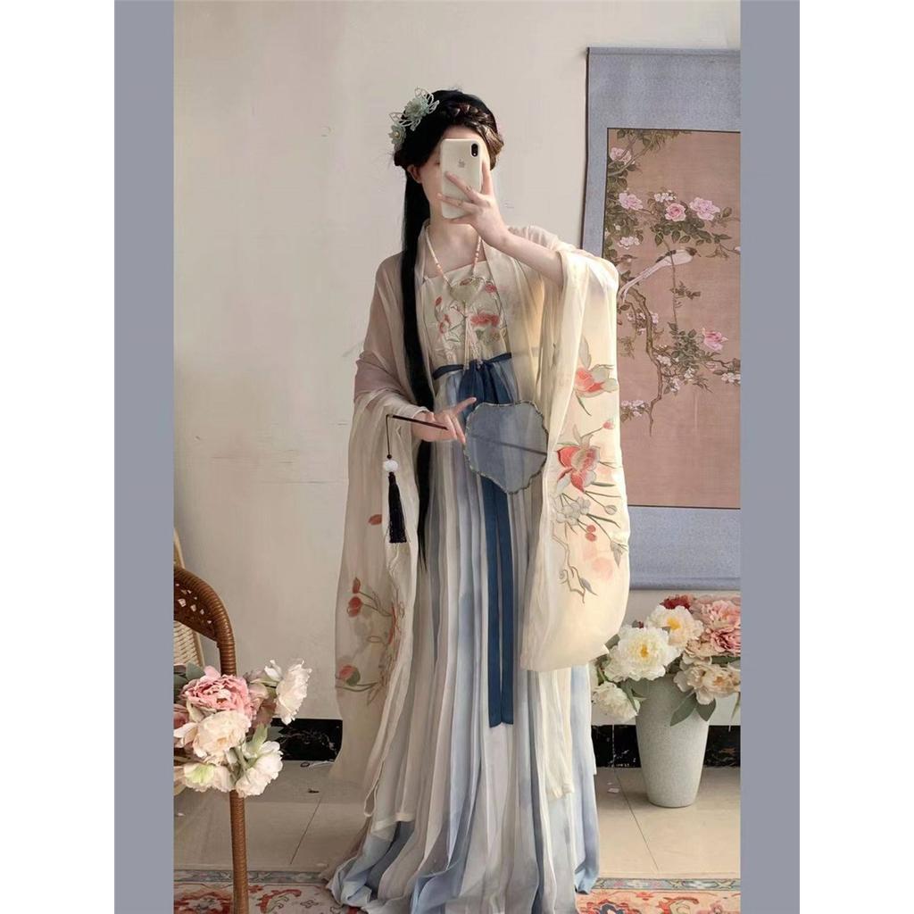 Chinese Tang Dynasty Style Hanfu Embroidered Large Sleeve Shirt HE ZI Skirt Daily Suit For Women